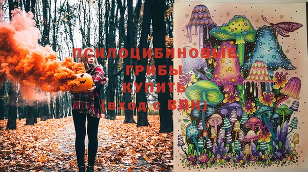 марки nbome Алексеевка