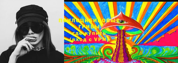 метадон Алексин