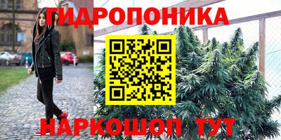 гашик Пыть-Ях