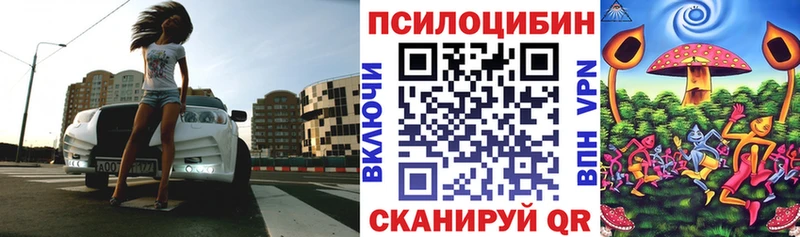 цены   Углич  Галлюциногенные грибы MAGIC MUSHROOMS 