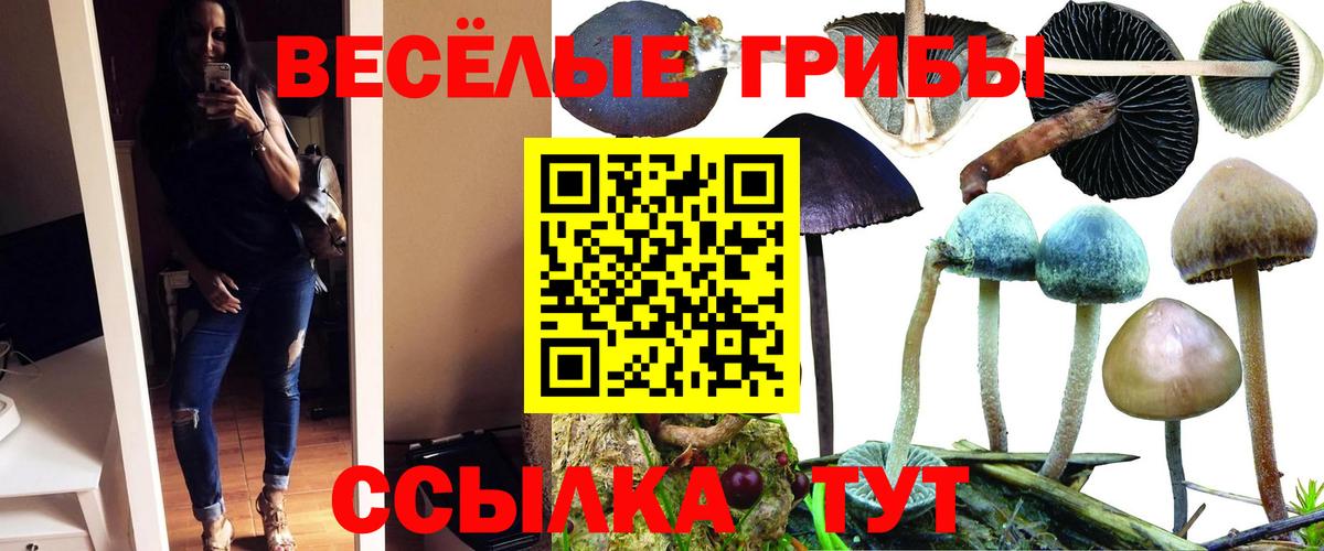 Галлюциногенные грибы GOLDEN TEACHER Углич