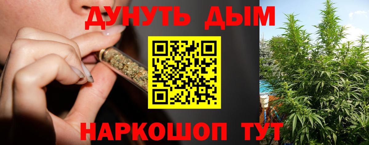 Каннабис OG Kush  Бошки Шишки семена  Канабис ГИДРОПОН  Углич  Вход с VPN 